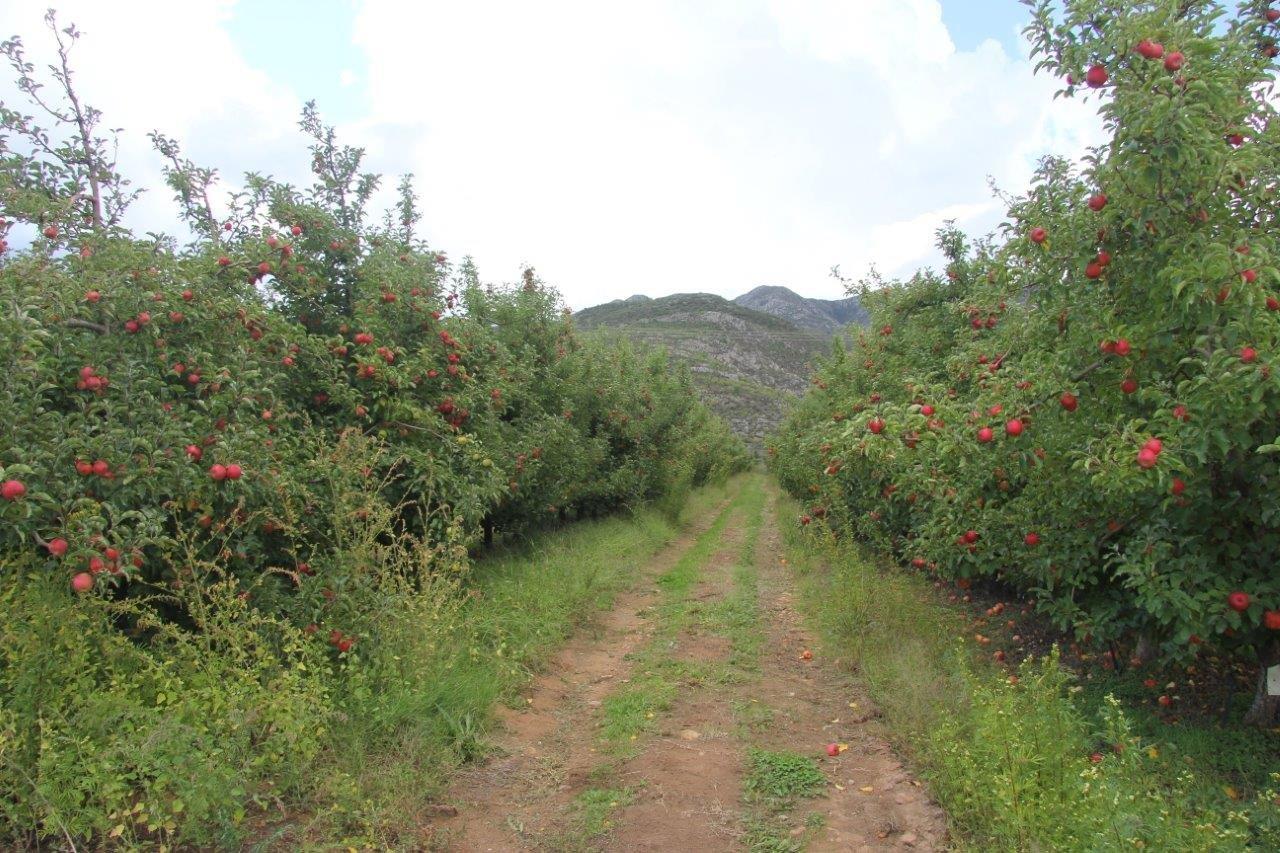 Appelkloof Trust